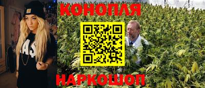 индика Можайск