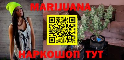 индика Можайск