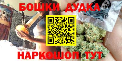 индика Можайск