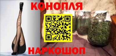 индика Можайск