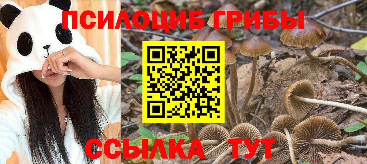 Галлюциногенные грибы прущие грибы Тверь