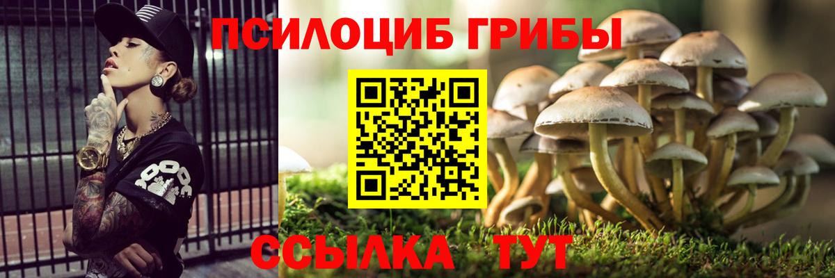 Тверь  Галлюциногенные грибы мухоморы  Вход с VPN  Галлюциногенные грибы Cubensis 